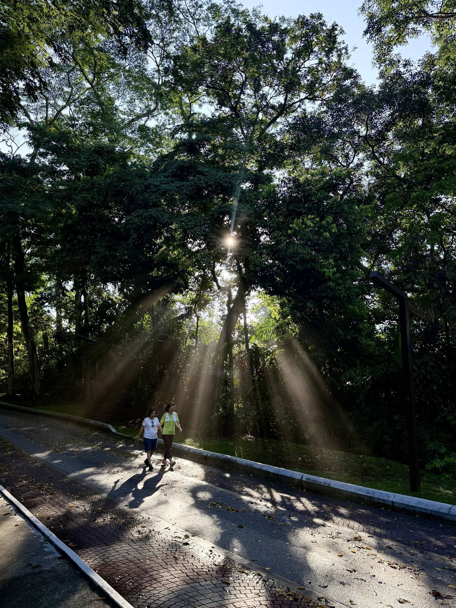 5KM Through Bukit Kiara