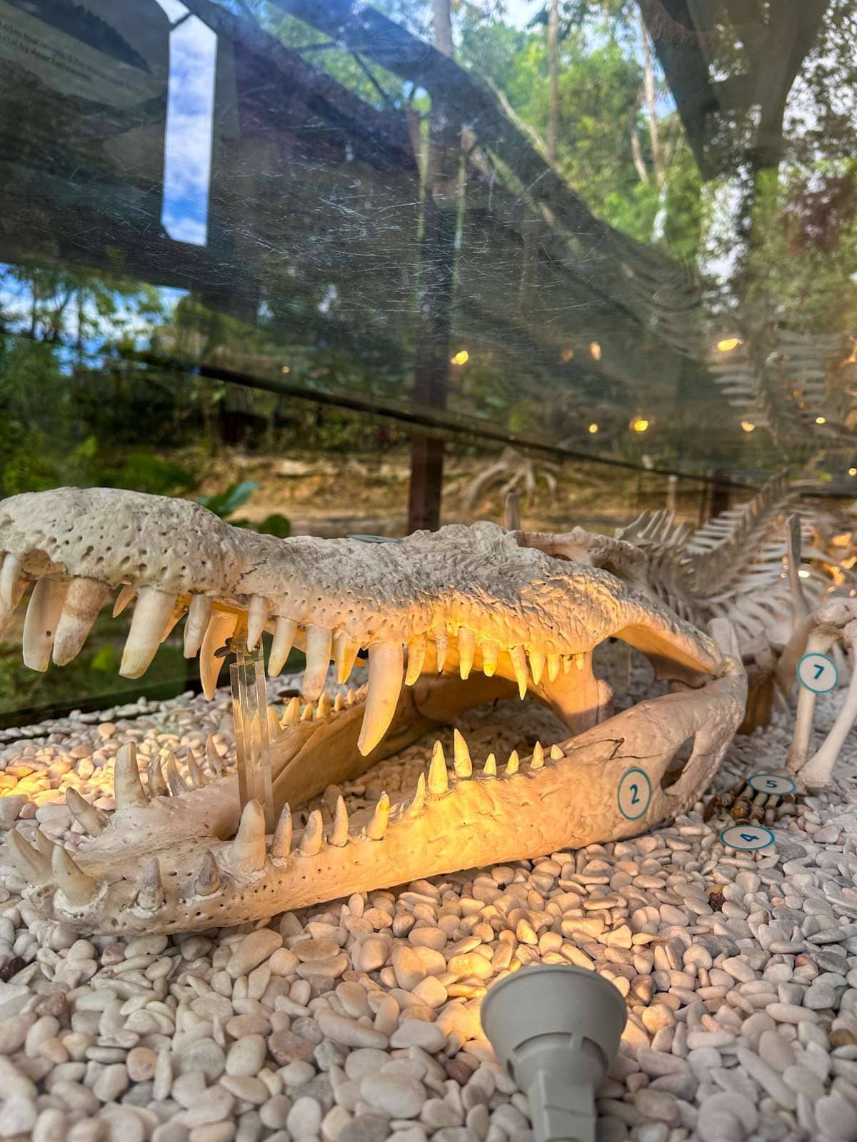 Family Expedition 1 Day