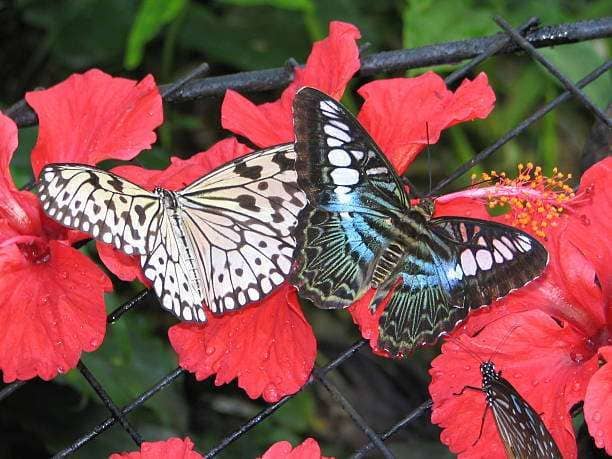 Family-Friendly 1-Day Itinerary with Small Children