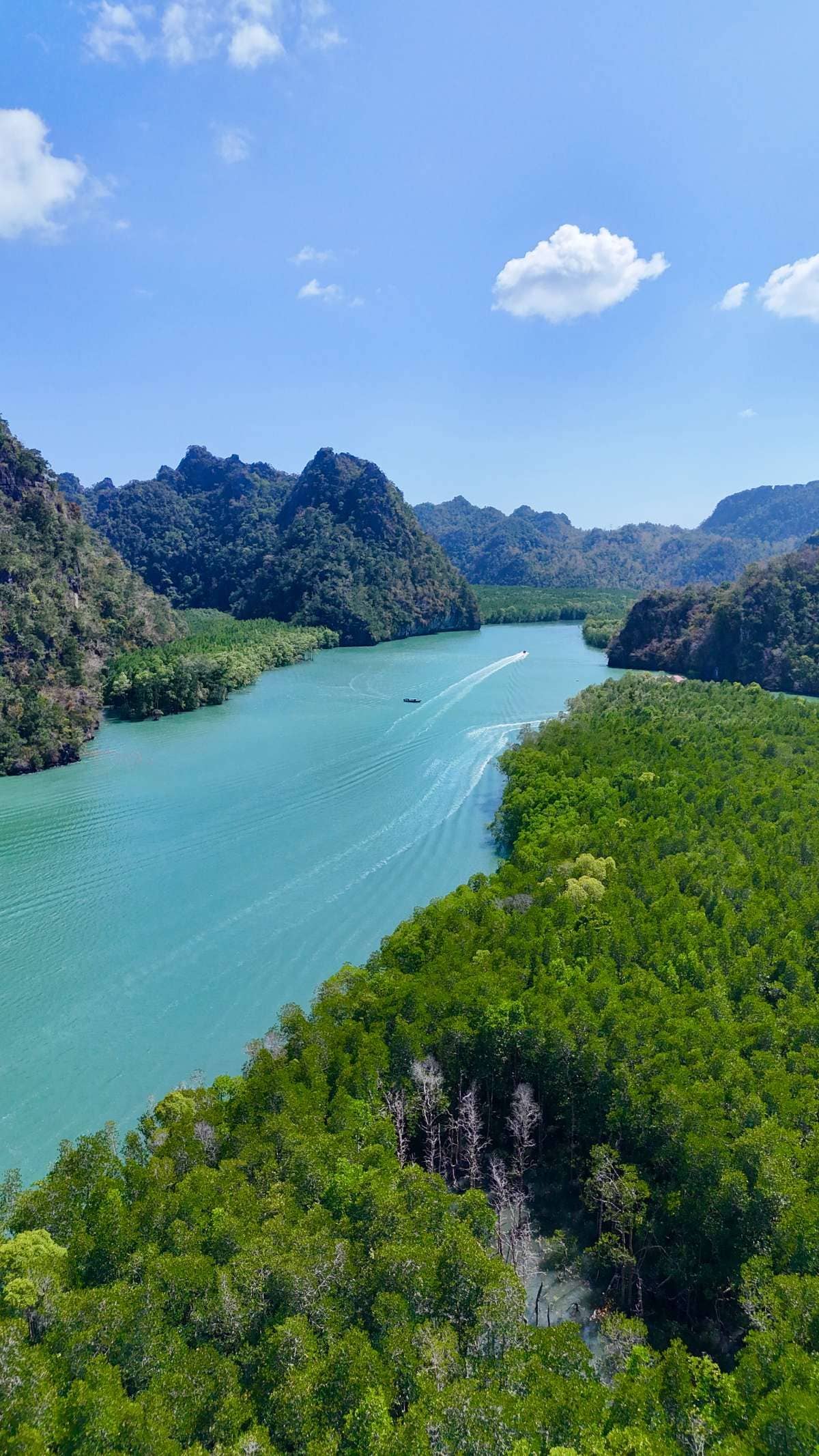 Kilim Geopark Private Mangrove Boat Tour