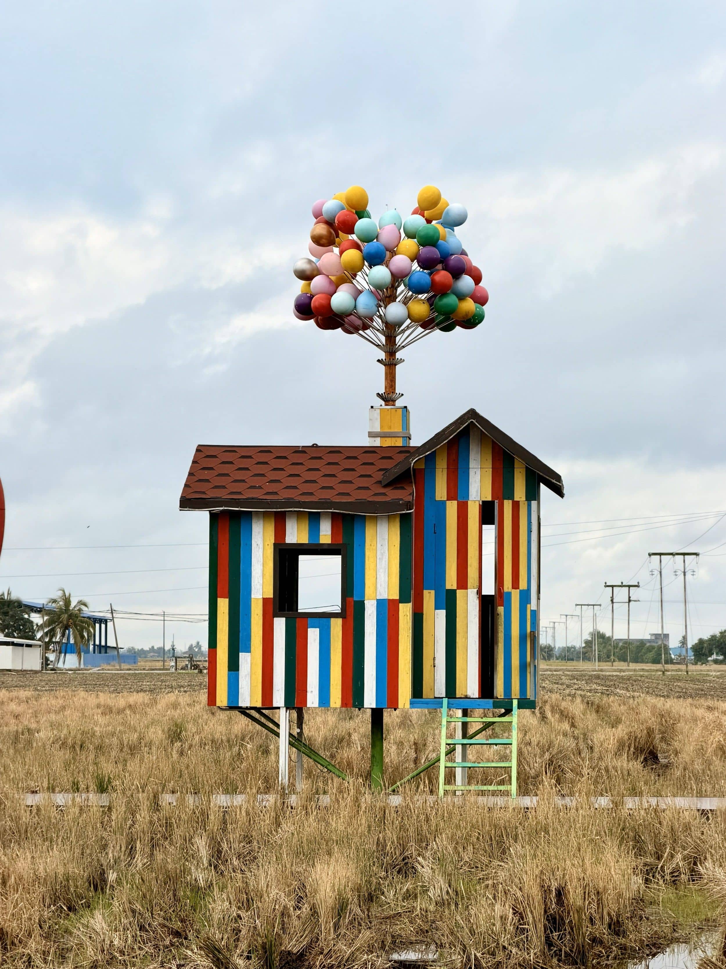 Scenic Sekinchan Paddy Fields and Local Food Trail
