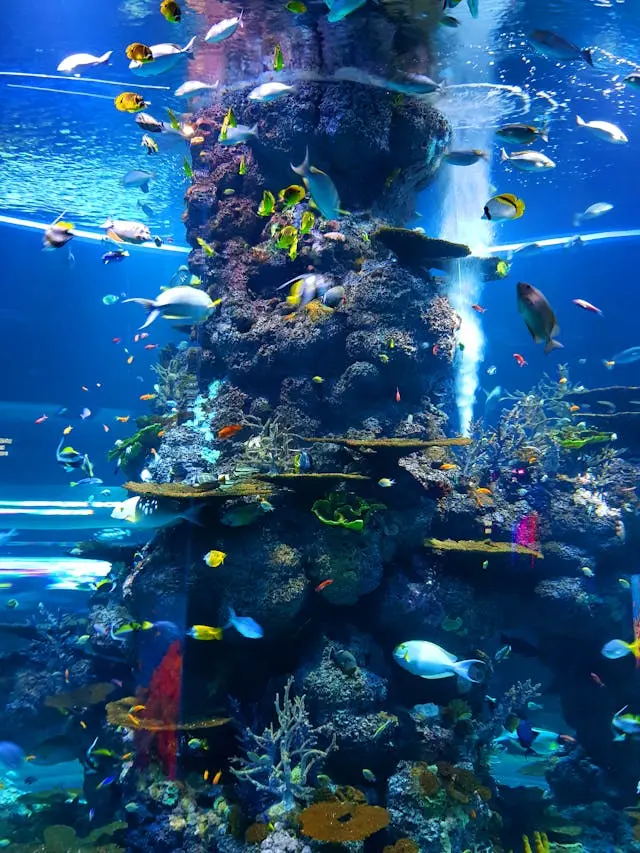 Attractions in Malaysia